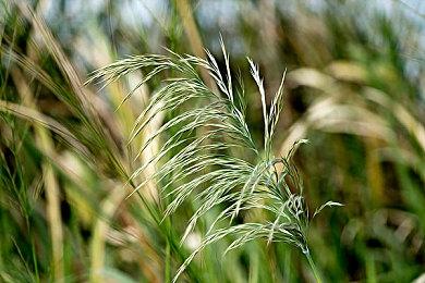 《暗黑2重制版》B测来袭 延迟高怎么办 网易UU加速器助你加速开玩