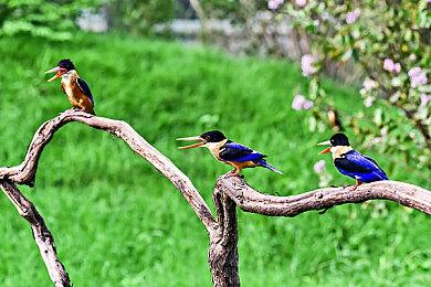 EA SPORTS™《FIFA 23》献上迄今最完整的足球互动体验 